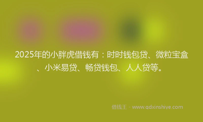 2025年的小胖虎借钱有：时时钱包贷、微粒宝盒、小米易贷、畅贷钱包、人人贷等。