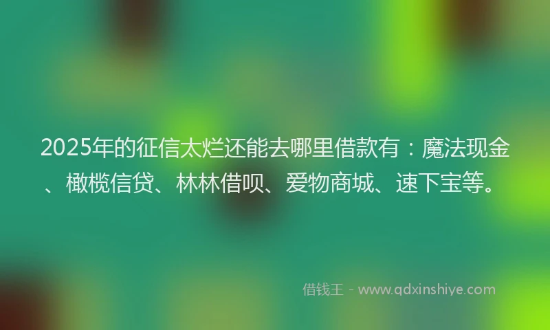 2025年的征信太烂还能去哪里借款有：魔法现金、橄榄信贷、林林借呗、爱物商城、速下宝等。