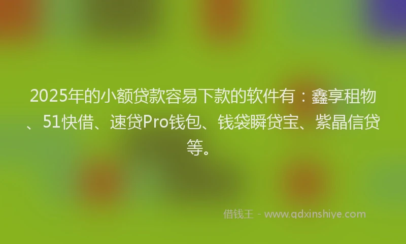2025年的小额贷款容易下款的软件有：鑫享租物、51快借、速贷Pro钱包、钱袋瞬贷宝、紫晶信贷等。