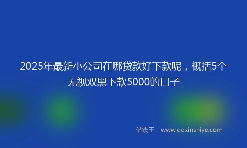 2025年最新小公司在哪贷款好下款呢，概括5个无视双黑下款5000的口子