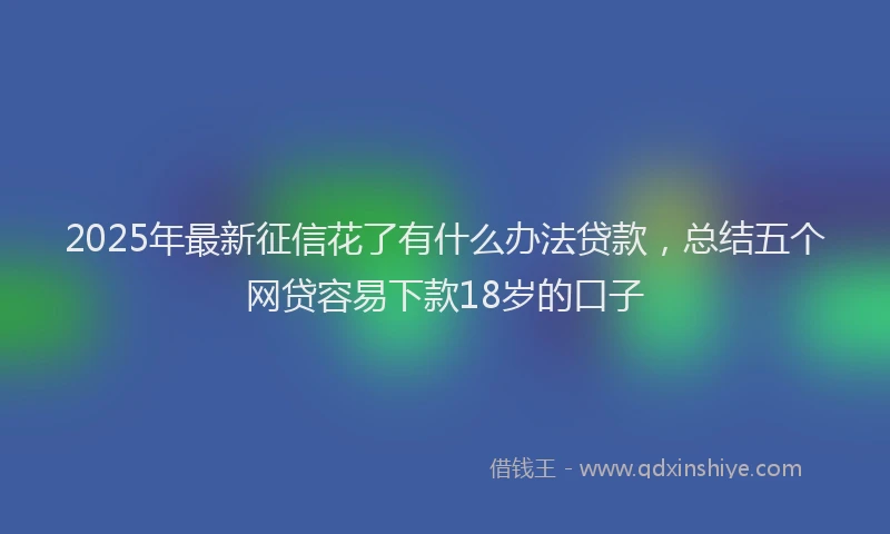 2025年最新征信花了有什么办法贷款，总结五个网贷容易下款18岁的口子