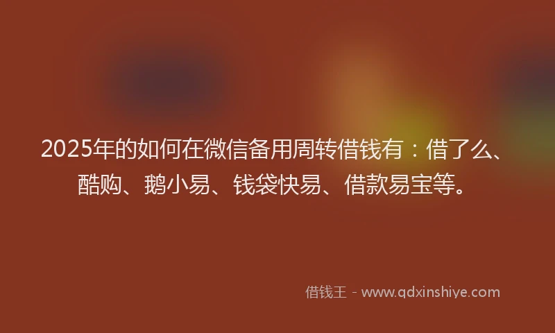 2025年的如何在微信备用周转借钱有：借了么、酷购、鹅小易、钱袋快易、借款易宝等。