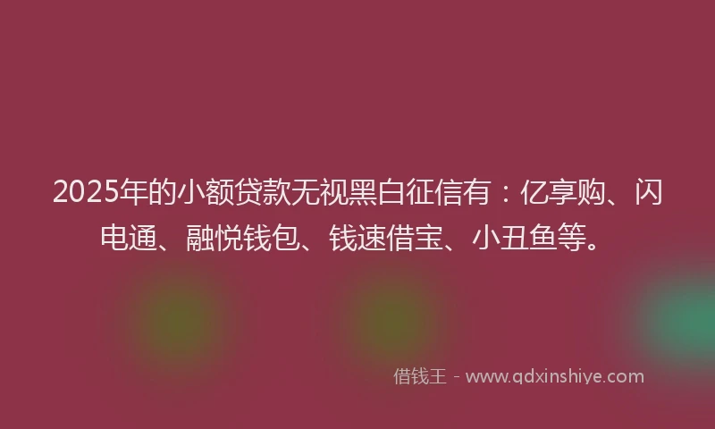 2025年的小额贷款无视黑白征信有：亿享购、闪电通、融悦钱包、钱速借宝、小丑鱼等。