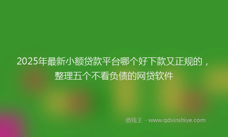 2025年最新小额贷款平台哪个好下款又正规的，整理五个不看负债的网贷软件