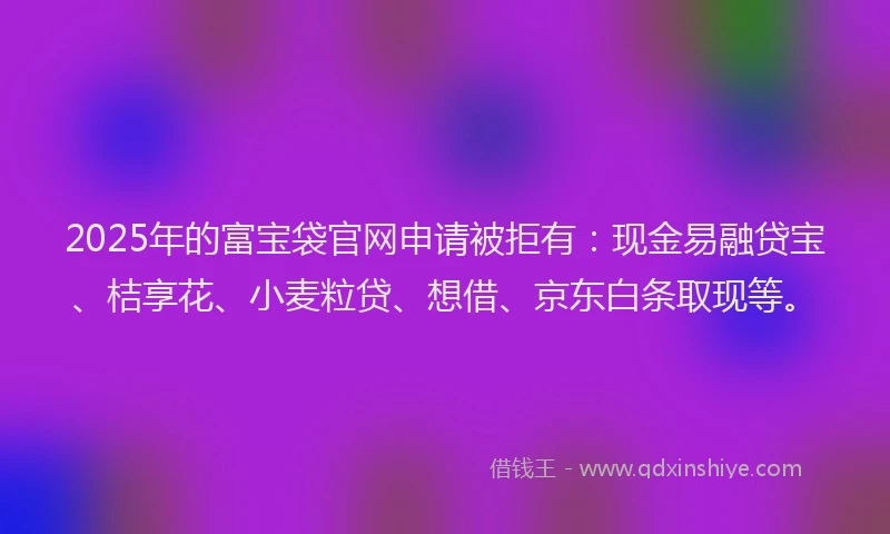 2025年的富宝袋官网申请被拒有：现金易融贷宝、桔享花、小麦粒贷、想借、京东白条取现等。