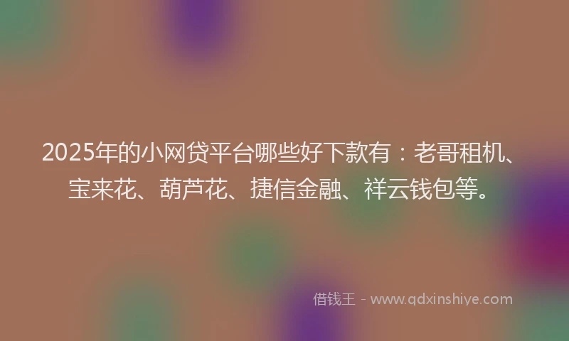 2025年的小网贷平台哪些好下款有：老哥租机、宝来花、葫芦花、捷信金融、祥云钱包等。