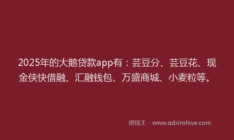 2025年的大鹅贷款app有：芸豆分、芸豆花、现金侠快借融、汇融钱包、万盛商城、小麦粒等。