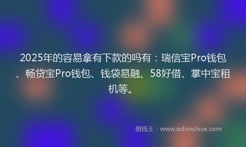 2025年的容易拿有下款的吗有：瑞信宝Pro钱包、畅贷宝Pro钱包、钱袋易融、58好借、掌中宝租机等。