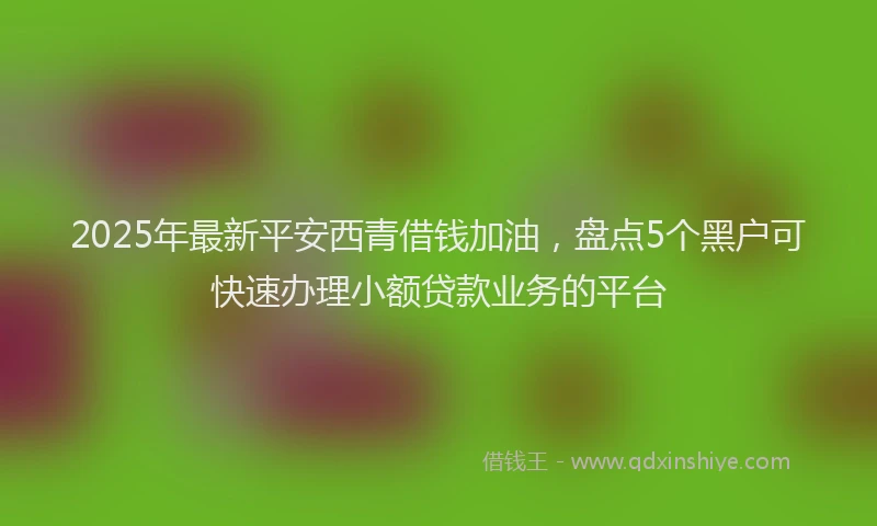 2025年最新平安西青借钱加油，盘点5个黑户可快速办理小额贷款业务的平台