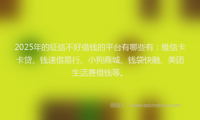 2025年的征信不好借钱的平台有哪些有：维信卡卡贷、钱速借易行、小狗商城、钱袋快融、美团生活费借钱等。