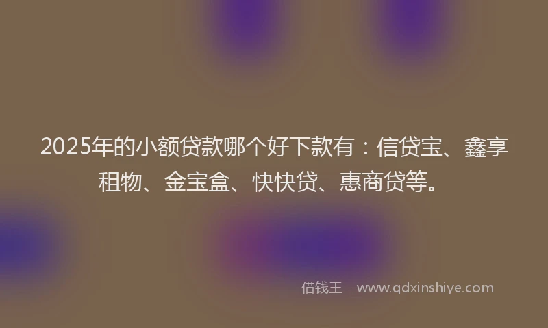 2025年的小额贷款哪个好下款有：信贷宝、鑫享租物、金宝盒、快快贷、惠商贷等。