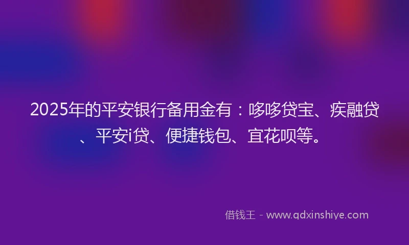 2025年的平安银行备用金有：哆哆贷宝、疾融贷、平安i贷、便捷钱包、宜花呗等。