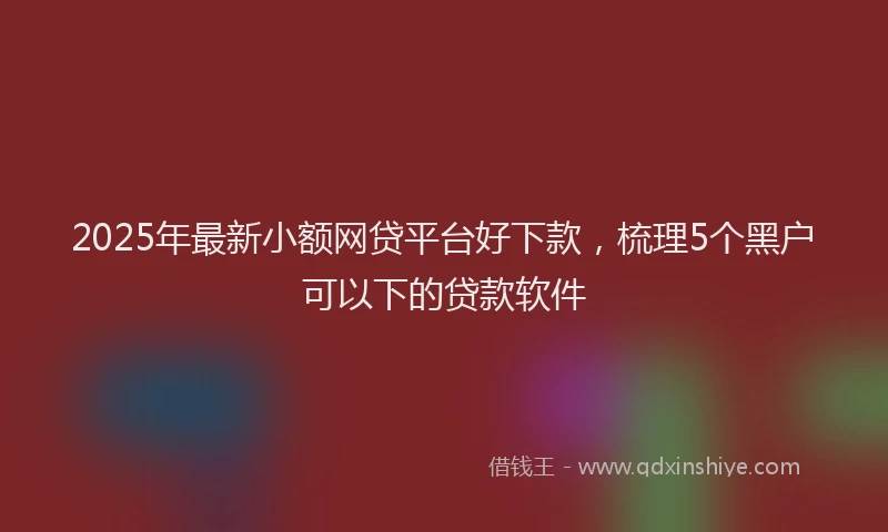 2025年最新小额网贷平台好下款，梳理5个黑户可以下的贷款软件