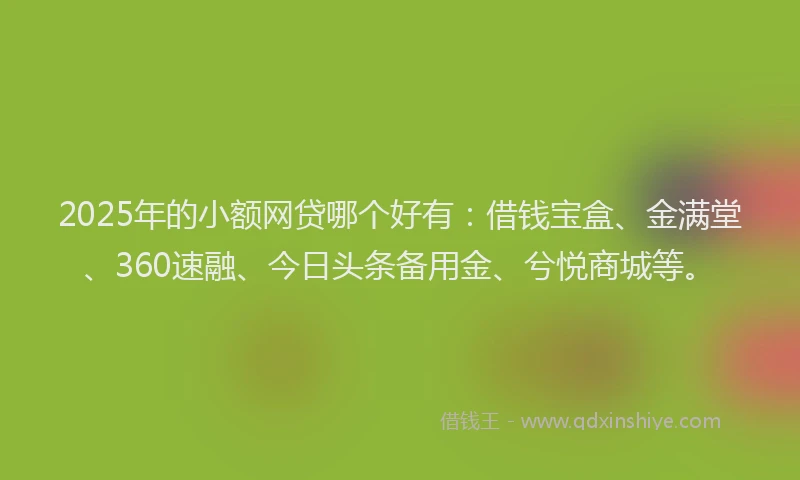 2025年的小额网贷哪个好有：借钱宝盒、金满堂、360速融、今日头条备用金、兮悦商城等。