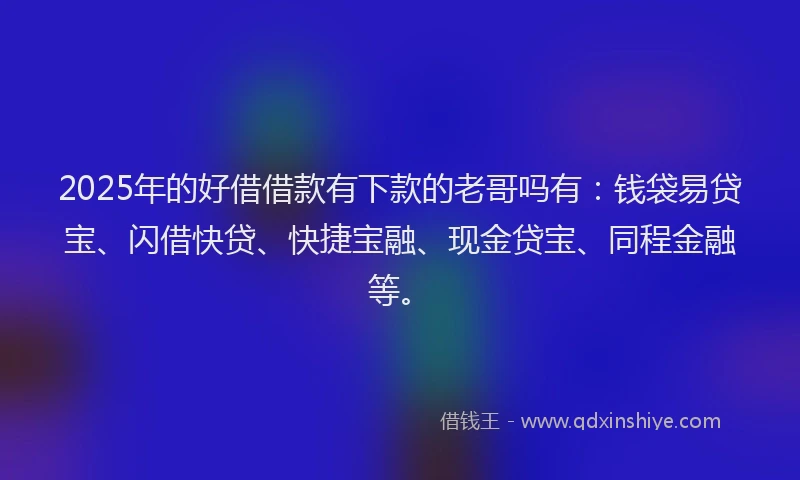 2025年的好借借款有下款的老哥吗有：钱袋易贷宝、闪借快贷、快捷宝融、现金贷宝、同程金融等。
