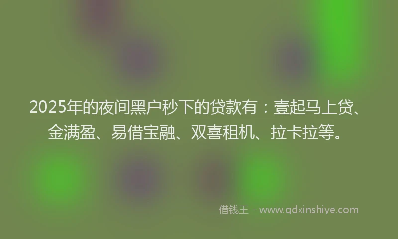 2025年的夜间黑户秒下的贷款有：壹起马上贷、金满盈、易借宝融、双喜租机、拉卡拉等。