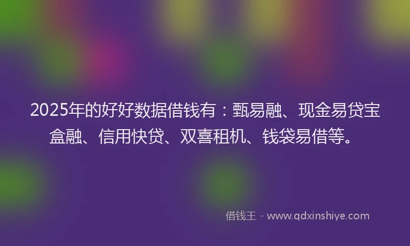2025年的好好数据借钱有：甄易融、现金易贷宝盒融、信用快贷、双喜租机、钱袋易借等。