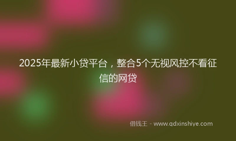 2025年最新小贷平台，整合5个无视风控不看征信的网贷
