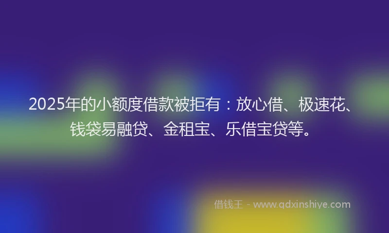 2025年的小额度借款被拒有：放心借、极速花、钱袋易融贷、金租宝、乐借宝贷等。
