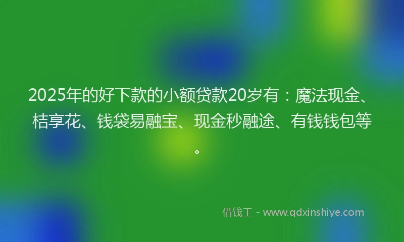 2025年的好下款的小额贷款20岁有：魔法现金、桔享花、钱袋易融宝、现金秒融途、有钱钱包等。