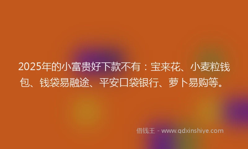 2025年的小富贵好下款不有：宝来花、小麦粒钱包、钱袋易融途、平安口袋银行、萝卜易购等。