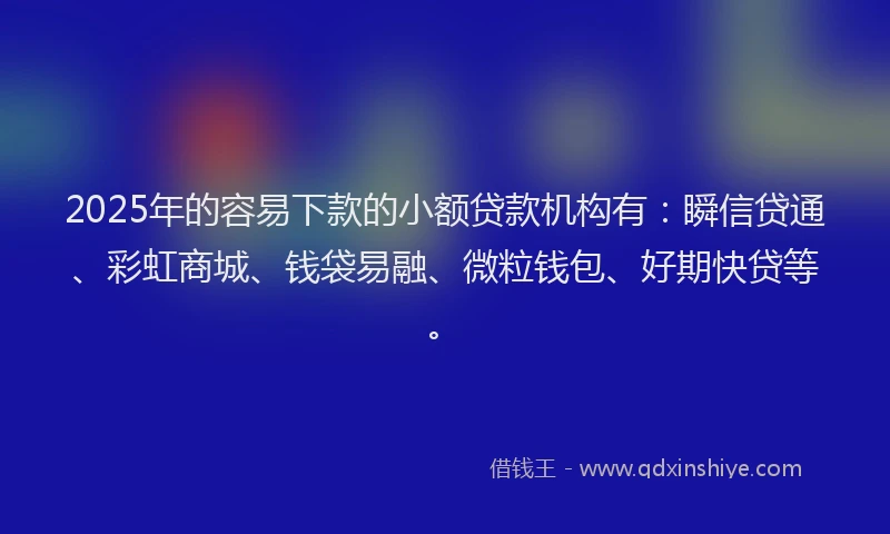 2025年的容易下款的小额贷款机构有：瞬信贷通、彩虹商城、钱袋易融、微粒钱包、好期快贷等。