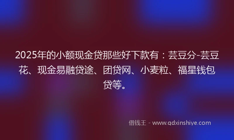 2025年的小额现金贷那些好下款有：芸豆分-芸豆花、现金易融贷途、团贷网、小麦粒、福星钱包贷等。