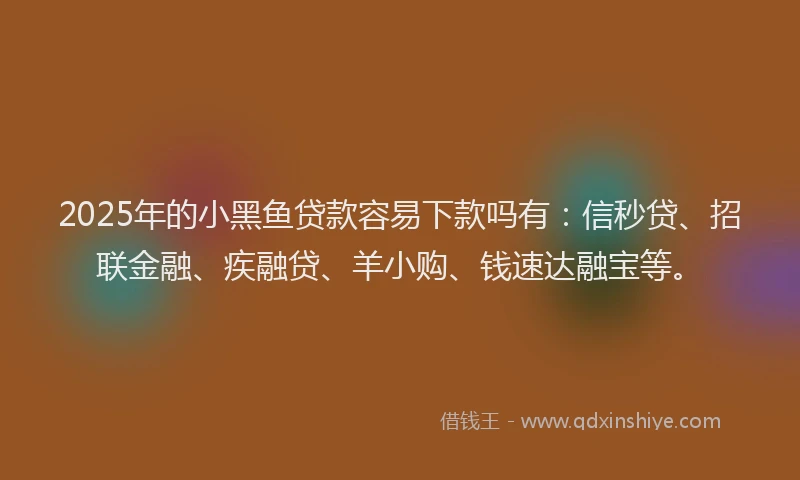 2025年的小黑鱼贷款容易下款吗有：信秒贷、招联金融、疾融贷、羊小购、钱速达融宝等。