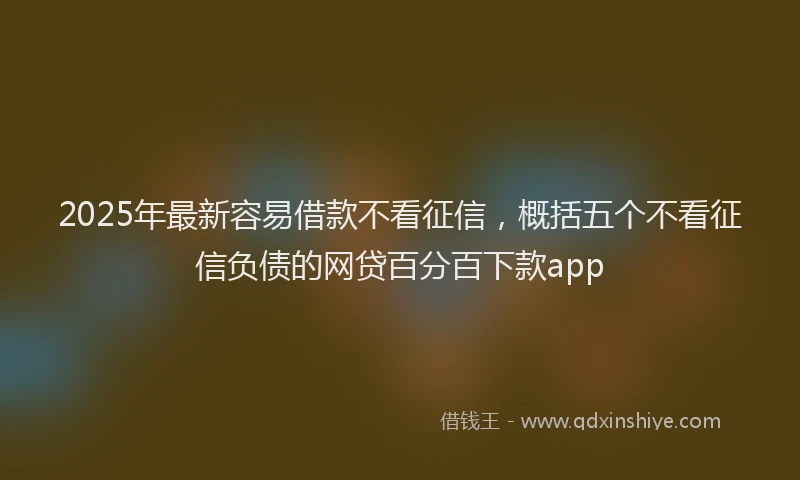 2025年最新容易借款不看征信，概括五个不看征信负债的网贷百分百下款app