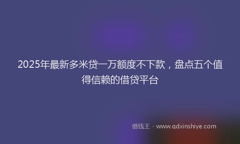 2025年最新多米贷一万额度不下款，盘点五个值得信赖的借贷平台