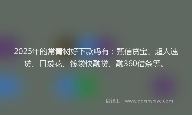2025年的常青树好下款吗有：甄信贷宝、超人速贷、口袋花、钱袋快融贷、融360借条等。