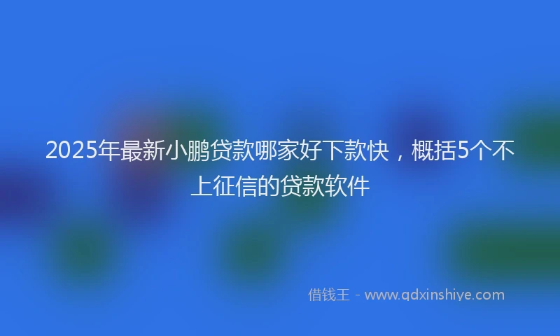 2025年最新小鹏贷款哪家好下款快，概括5个不上征信的贷款软件
