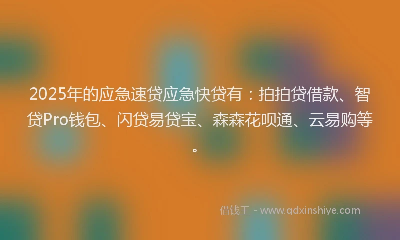 2025年的应急速贷应急快贷有：拍拍贷借款、智贷Pro钱包、闪贷易贷宝、森森花呗通、云易购等。