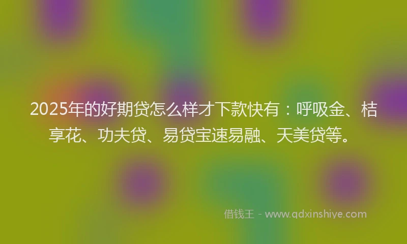 2025年的好期贷怎么样才下款快有：呼吸金、桔享花、功夫贷、易贷宝速易融、天美贷等。
