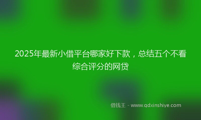 2025年最新小借平台哪家好下款，总结五个不看综合评分的网贷