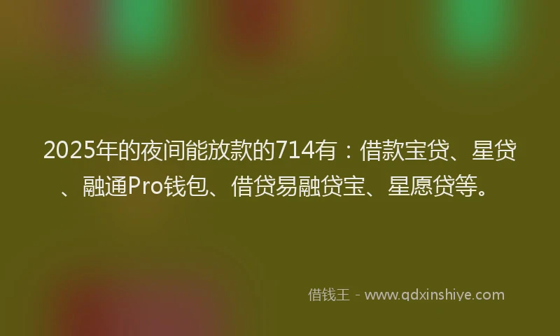 2025年的夜间能放款的714有：借款宝贷、星贷、融通Pro钱包、借贷易融贷宝、星愿贷等。