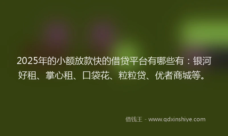 2025年的小额放款快的借贷平台有哪些有：银河好租、掌心租、口袋花、粒粒贷、优者商城等。