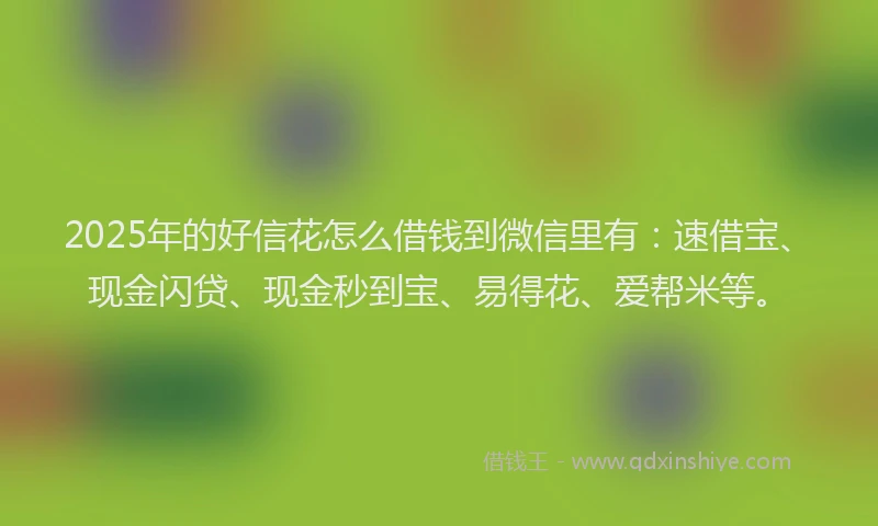 2025年的好信花怎么借钱到微信里有：速借宝、现金闪贷、现金秒到宝、易得花、爱帮米等。