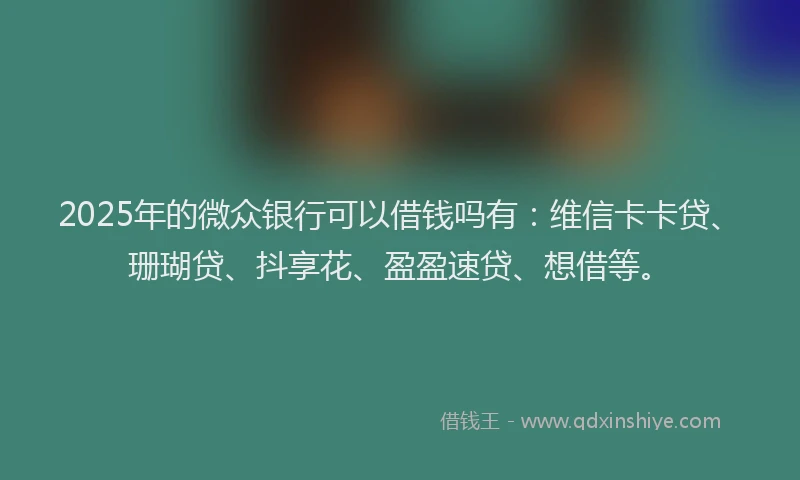 2025年的微众银行可以借钱吗有：维信卡卡贷、珊瑚贷、抖享花、盈盈速贷、想借等。
