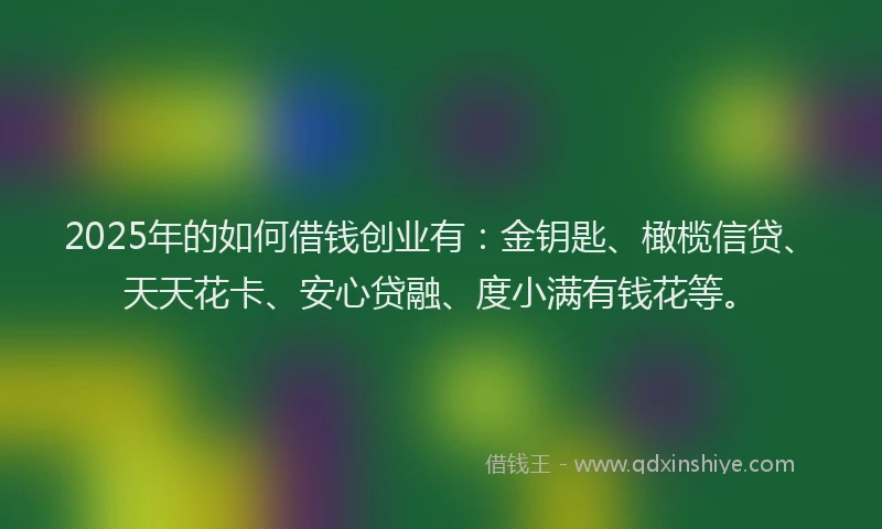 2025年的如何借钱创业有：金钥匙、橄榄信贷、天天花卡、安心贷融、度小满有钱花等。