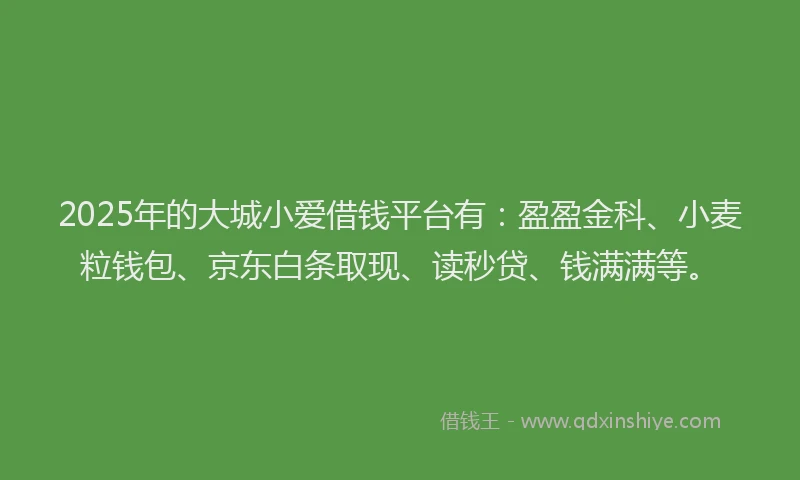 2025年的大城小爱借钱平台有：盈盈金科、小麦粒钱包、京东白条取现、读秒贷、钱满满等。