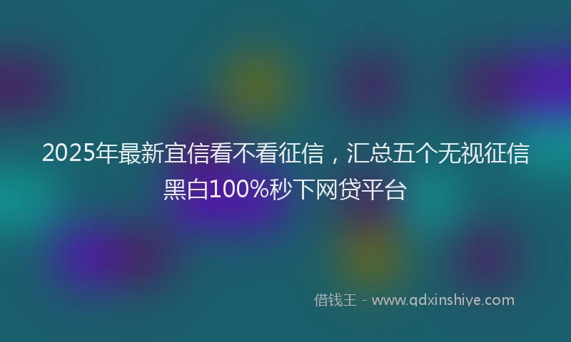2025年最新宜信看不看征信，汇总五个无视征信黑白100%秒下网贷平台