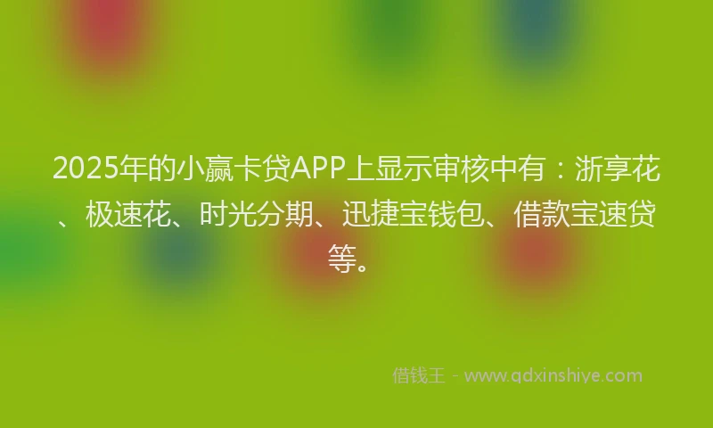 2025年的小赢卡贷APP上显示审核中有：浙享花、极速花、时光分期、迅捷宝钱包、借款宝速贷等。