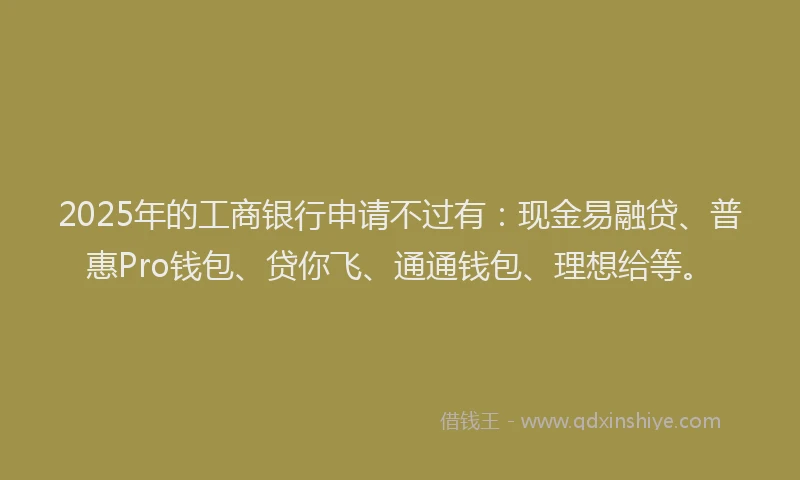 2025年的工商银行申请不过有：现金易融贷、普惠Pro钱包、贷你飞、通通钱包、理想给等。