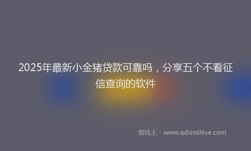2025年最新小金猪贷款可靠吗，分享五个不看征信查询的软件