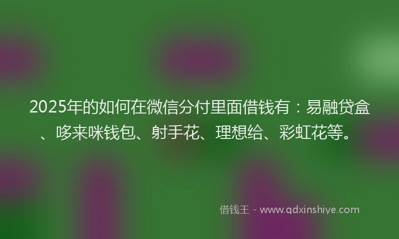 2025年的如何在微信分付里面借钱有：易融贷盒、哆来咪钱包、射手花、理想给、彩虹花等。