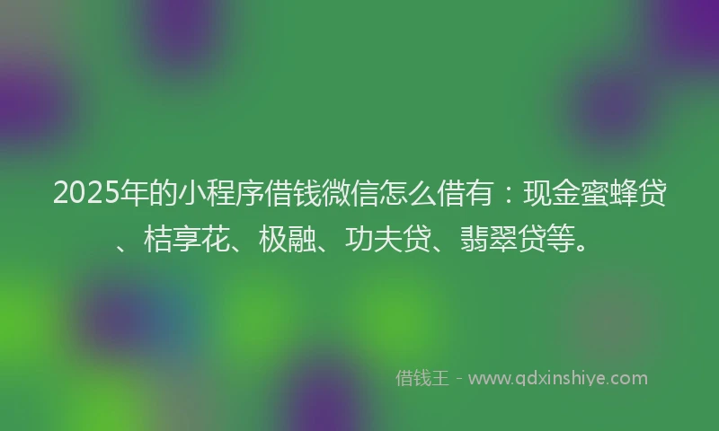 2025年的小程序借钱微信怎么借有:现金蜜蜂贷、桔享花、极融、功夫贷、翡翠贷等。