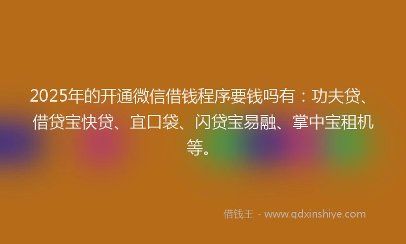 2025年的开通微信借钱程序要钱吗有：功夫贷、借贷宝快贷、宜口袋、闪贷宝易融、掌中宝租机等。