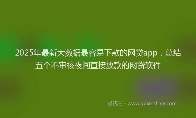 2025年最新大数据最容易下款的网贷app，总结五个不审核夜间直接放款的网贷软件