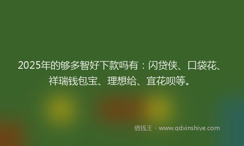 2025年的够多智好下款吗有：闪贷侠、口袋花、祥瑞钱包宝、理想给、宜花呗等。